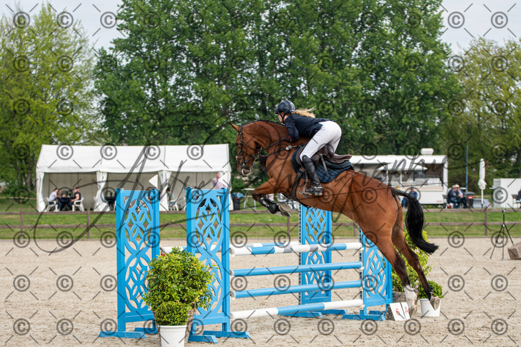 KPT_3127 | andre_photographic