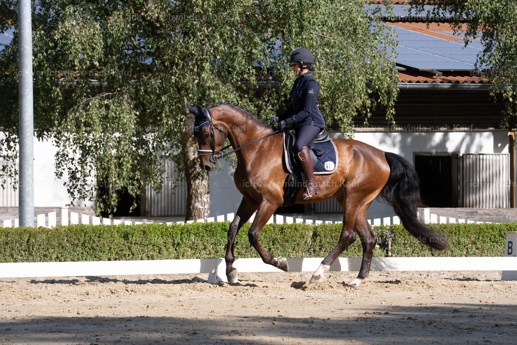 WL_DR_41_sinafilmart_IN06188 | working equitationturnier fotograf videograf stoibphotography marixx film working equitation deutschland reitsport turnierfotografie eventfotografie equestrian events