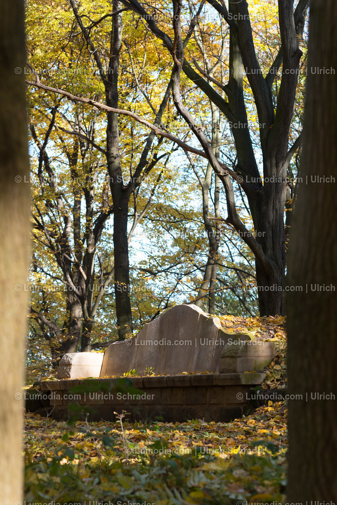 10049-4638 - Landschaftspark Spiegelsberge | Stockfoto und Bilderpool mit Bildmaterial aus Deutschland, dem Harz, Halberstadt, Quedlinburg, Wernigerode und weltweit. Qualitativ hochwertige und professionelle Fotos anschauen und kaufen. - Realisiert mit Pictrs.com