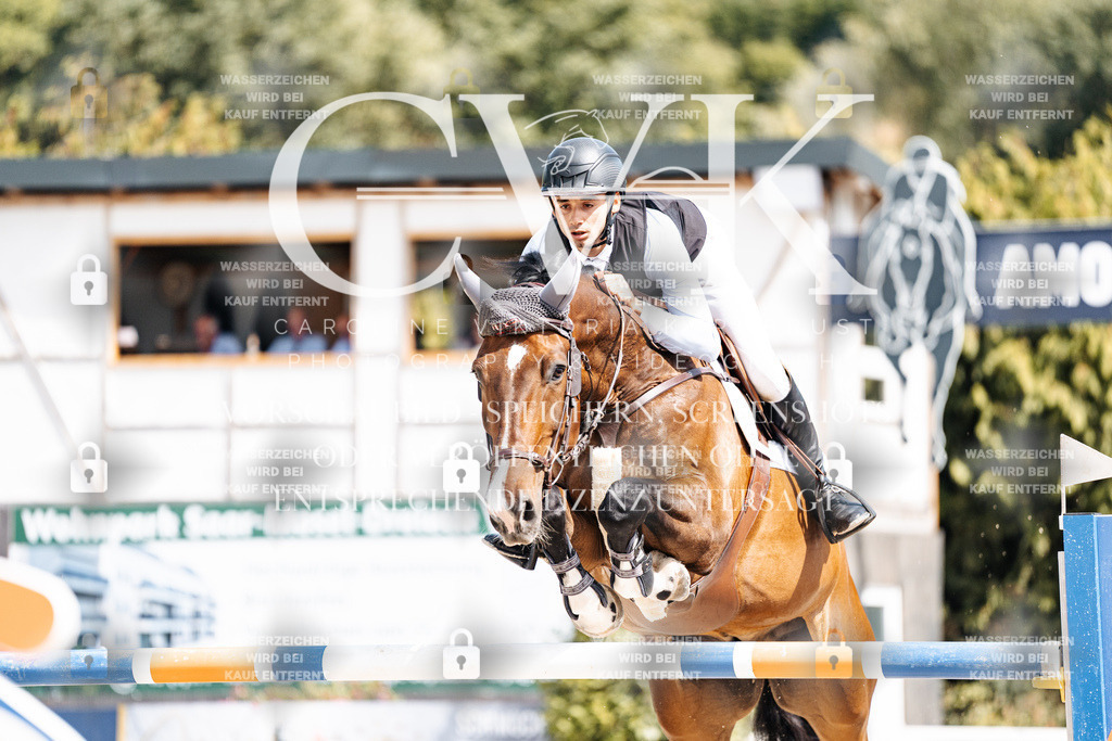 CK905114 | Turnierfotografie Pferdefotografie Trier Rheinland-Pfalz Pferdesport Reitsport Tierfotografie Sportfotografie Pferdevideo Pferdevideografie Equestrianvideography equestrianphotography  - Realisiert mit Pictrs.com
