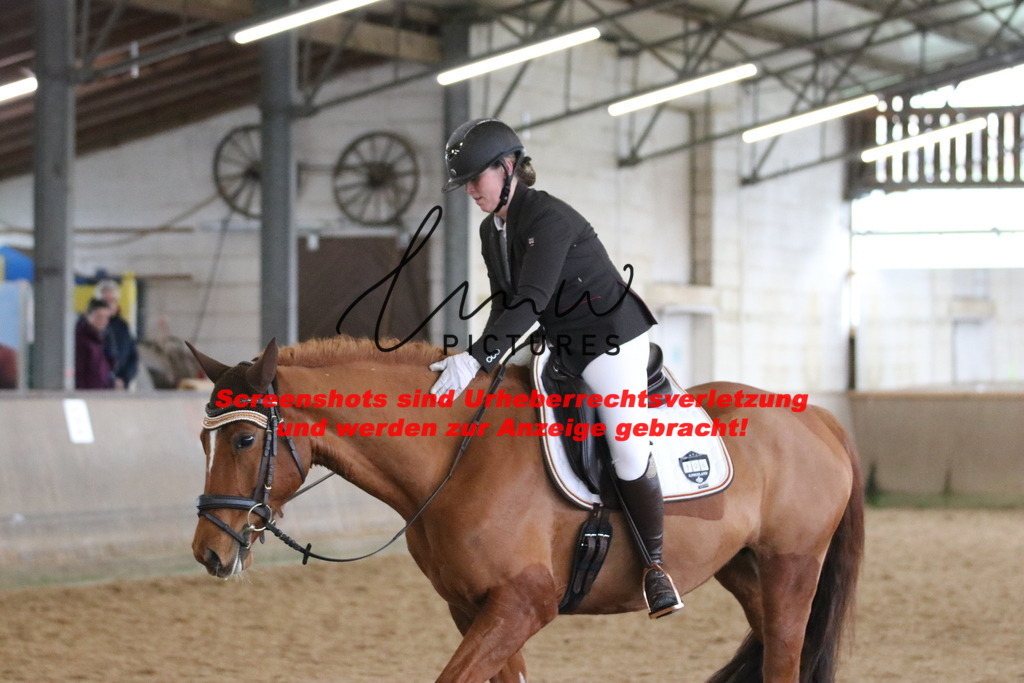 IMG_8232 | lmwpictures - Realisiert mit Pictrs.com