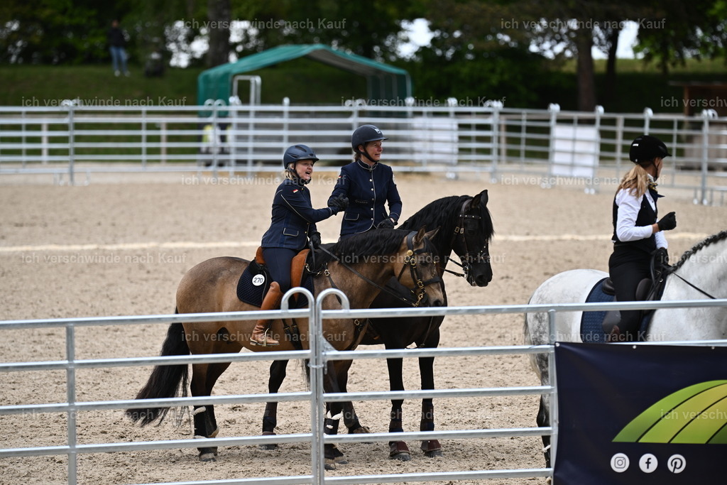 PI26_COW_Sara Landvogt226_7624.JPG | working equitationturnier fotograf videograf stoibphotography marixx film working equitation deutschland reitsport turnierfotografie eventfotografie equestrian events