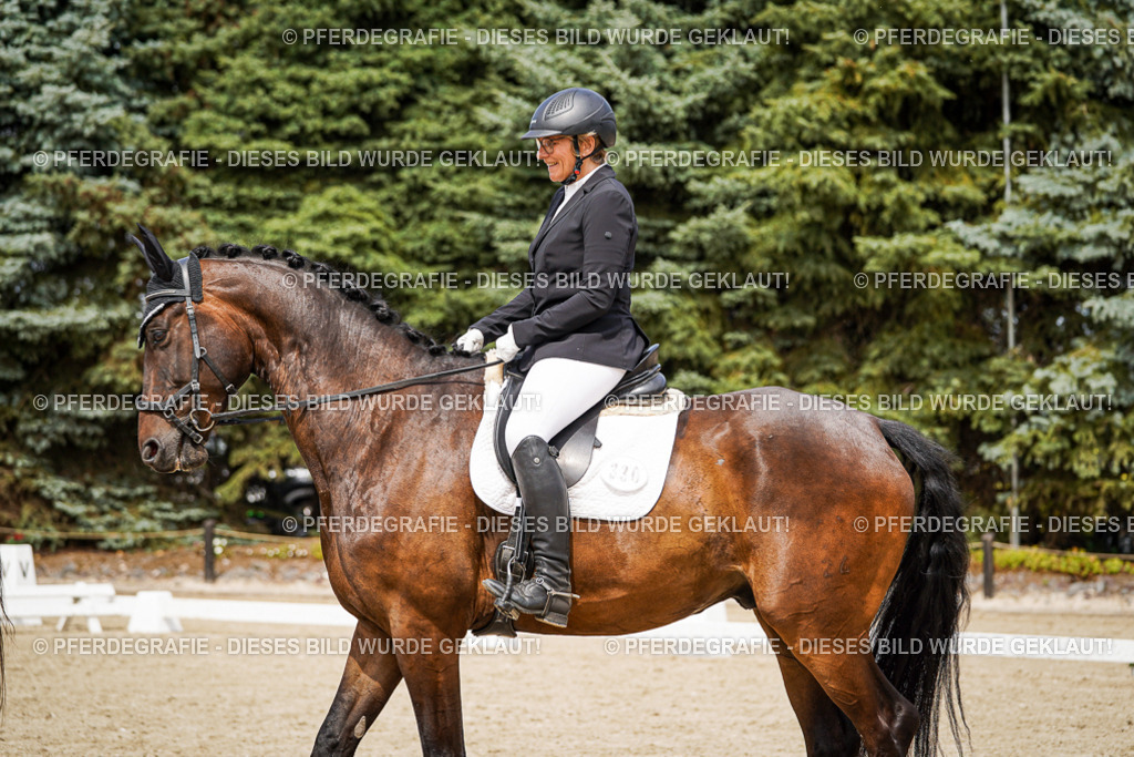 DSC04519 | Pferdegrafie