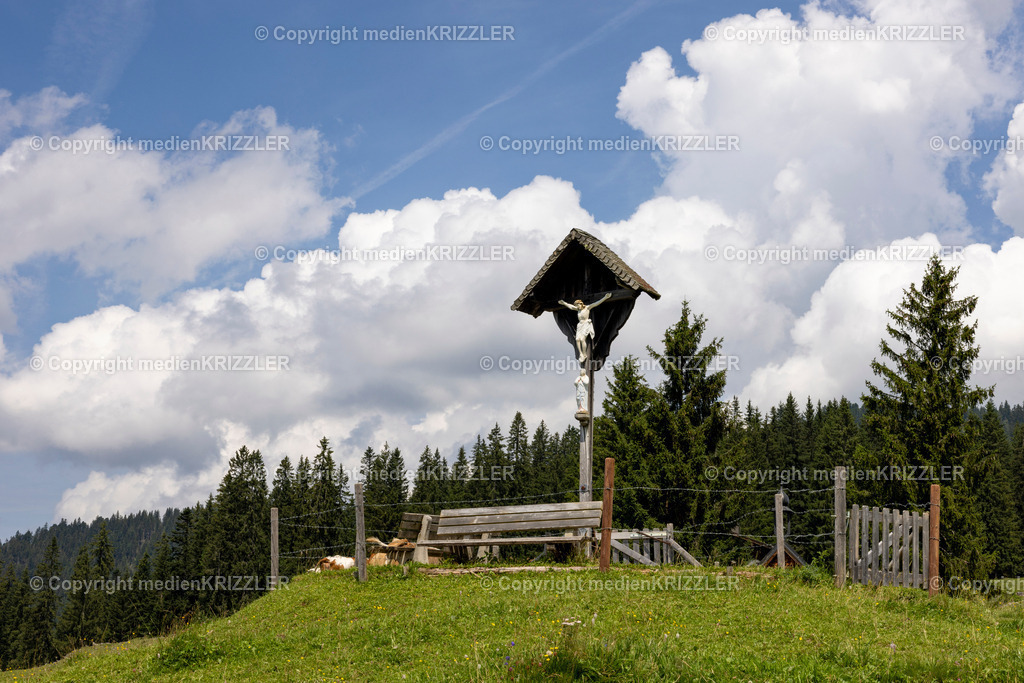 _J3A5484 | medienkrizzler - Realisiert mit Pictrs.com