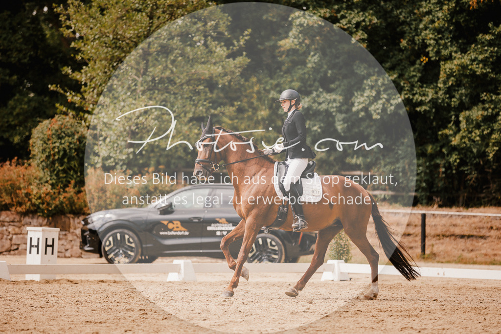 3I6A6212 | Stimmungsvolle Portraits und Reitsportfotografie im Ruhrgebiet und im Münsterland.

Pferdefotografie, Hundefotografie, Tierfotografie, Reportagen, Portraits von Tier und Mensch, Turnierfotografie in Bochum, Recklinghausen, Marl, Haltern am See, Dülmen.. - Realisiert mit Pictrs.com