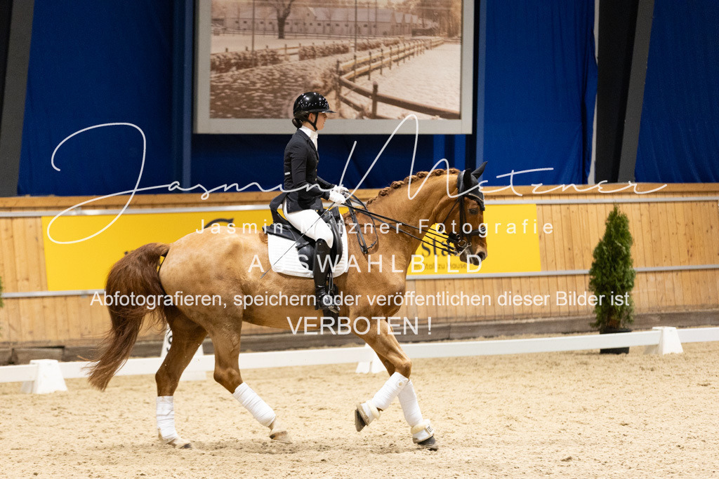 126A0333 | jasminmetznerfotografie