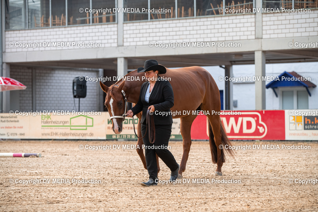 EWP_5520 | dv-media-shop - Realisiert mit Pictrs.com