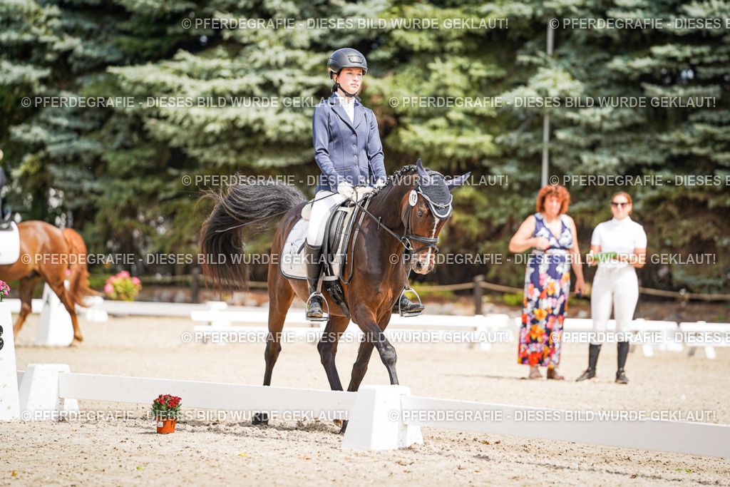 DSC02517 | Pferdegrafie