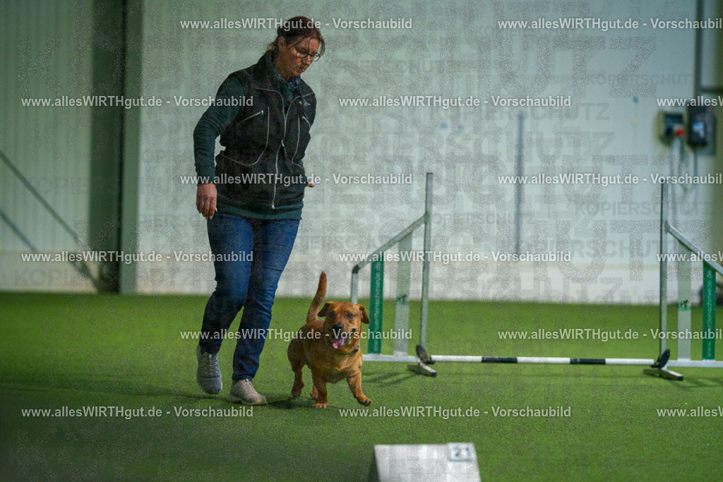 7R507201 | Professionelle Tierfotografie in Mönchengladbach von Daniel Wirth (allesWIRTHgut). Liebevolle & natürliche Bilder von Hunden & Katzen für unvergessliche Erinnerungen.