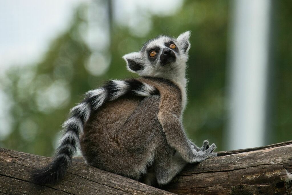 Kattajunges | Unvergessliche Erinnerungen in Bildern festgehalten! Ob Hochzeit, Shooting oder Landschaft  - Ich bin dein Fotograf in Erfurt und Umgebung! Photo-Rauch | Sandro Rauch - Realisiert mit Pictrs.com