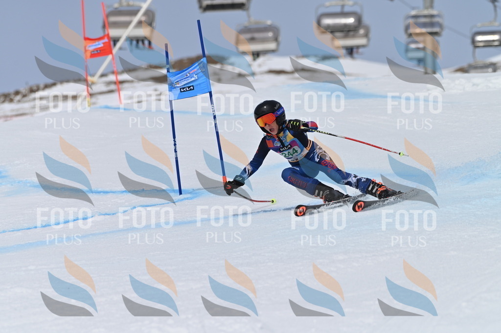 BGV_4829 | holidayphoto