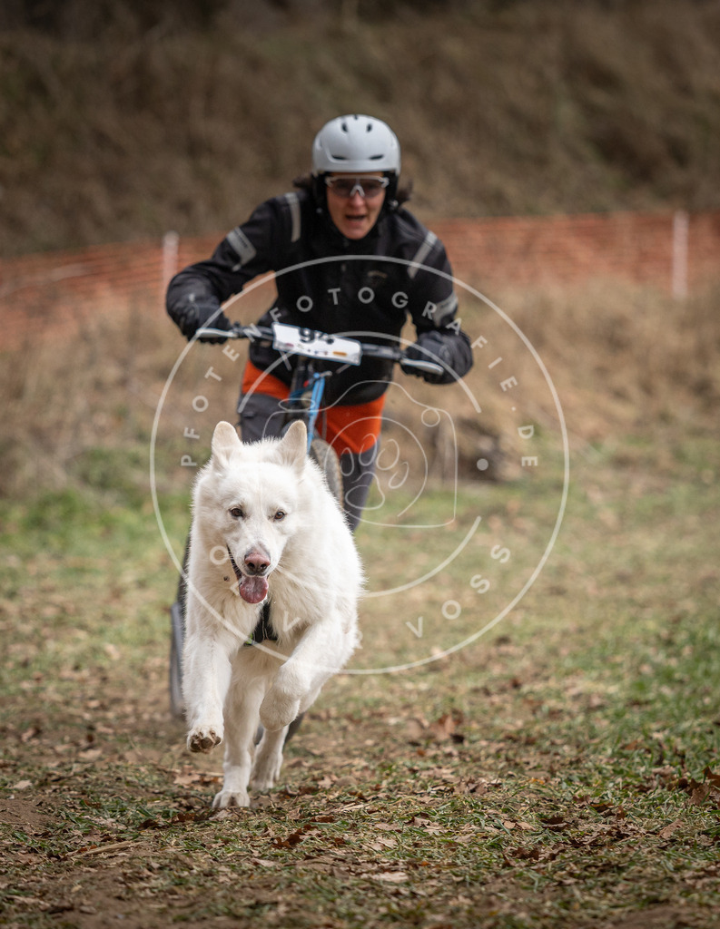 Pfotenfotografie_DV3A6900 | Hundefotografie, Tierfotograf, Pfotenfotografie, Fotoshooting Hund, Hunde Portrait, Hundesport, Hundeportraits, Heideshooting, Hunde, Sportfotograf, Hundefotograf, Turnierhundsport, THS,  - Realisiert mit Pictrs.com