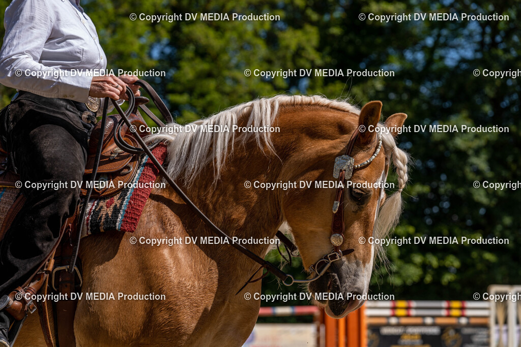 Zeiskam Tag 2-1020 | dv-media-shop - Realisiert mit Pictrs.com