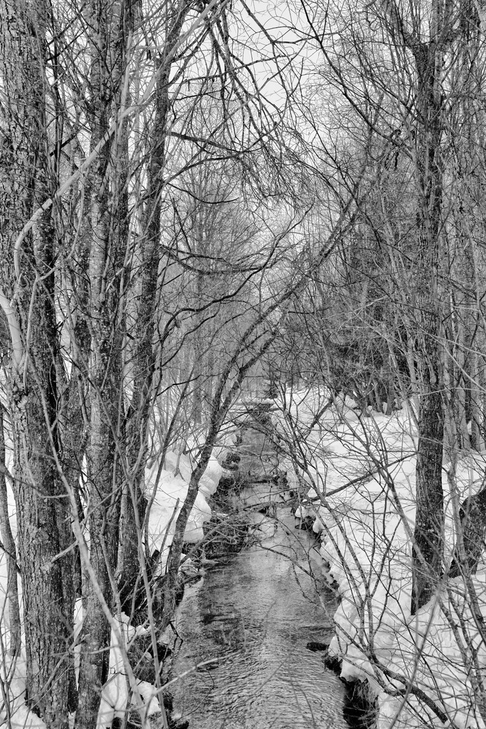 2023_12_31 A7V02145 | bridgeman - Realisiert mit Pictrs.com