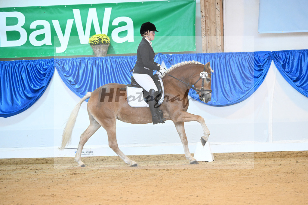 Kat-Nr. 212 Eyra_ZG Wolfgramm_54221612 | hf-fotografie - Realisiert mit Pictrs.com