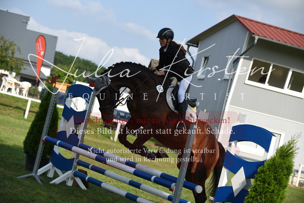 DSC_8672 | Pferde- und Turnierfotografie in Westsachsen. Pferdeportraits, Auftragszeichnungen und intuitive Kunst.