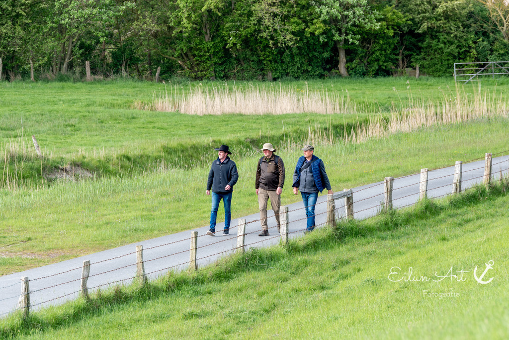 EAF_1068 | Eilun-Art-Fotografie Levke Martens, ihre Fotografin für Immobilien- und Landschaftsfotografie auf Föhr, Föhrer Motive als Poster, Leinwand, hinter Acrylglas oder stelle dir deinen eigenen Monatskalender zusammen, mit nur einem Klick