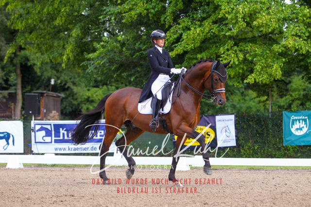 DKP41362 | Turniersportfotografie; Pferdefotografie; Dressurfotografie