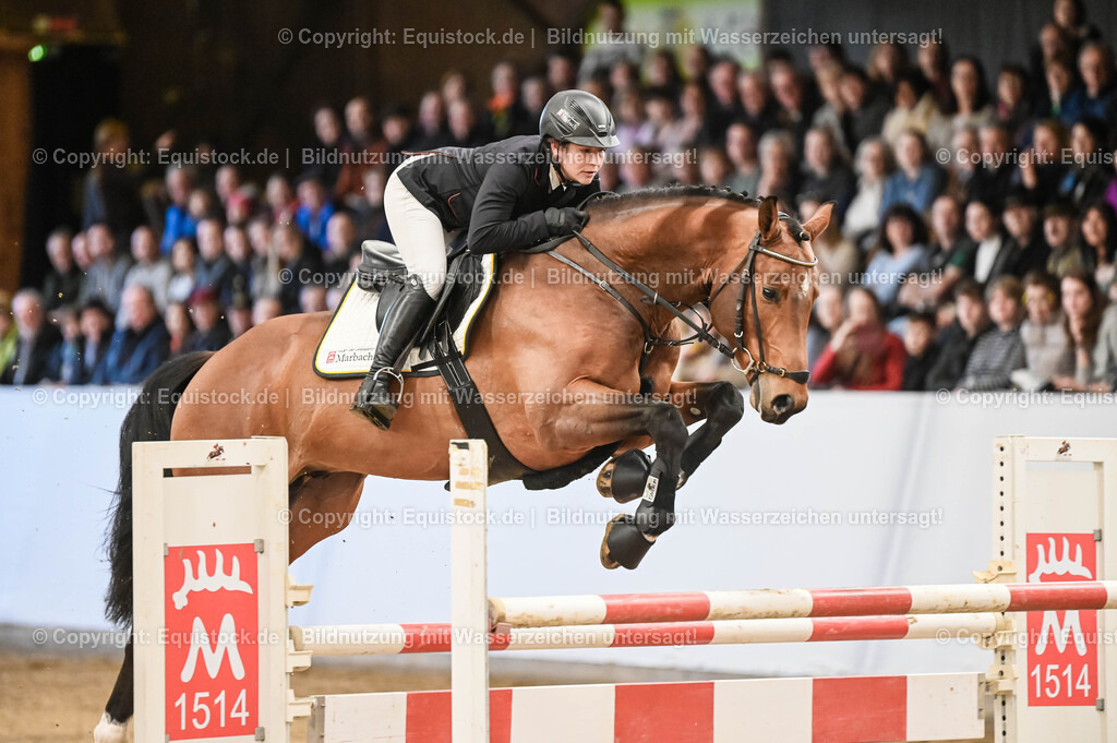 20260307_Hengstvorstellung-Marbach_0032 | equistock