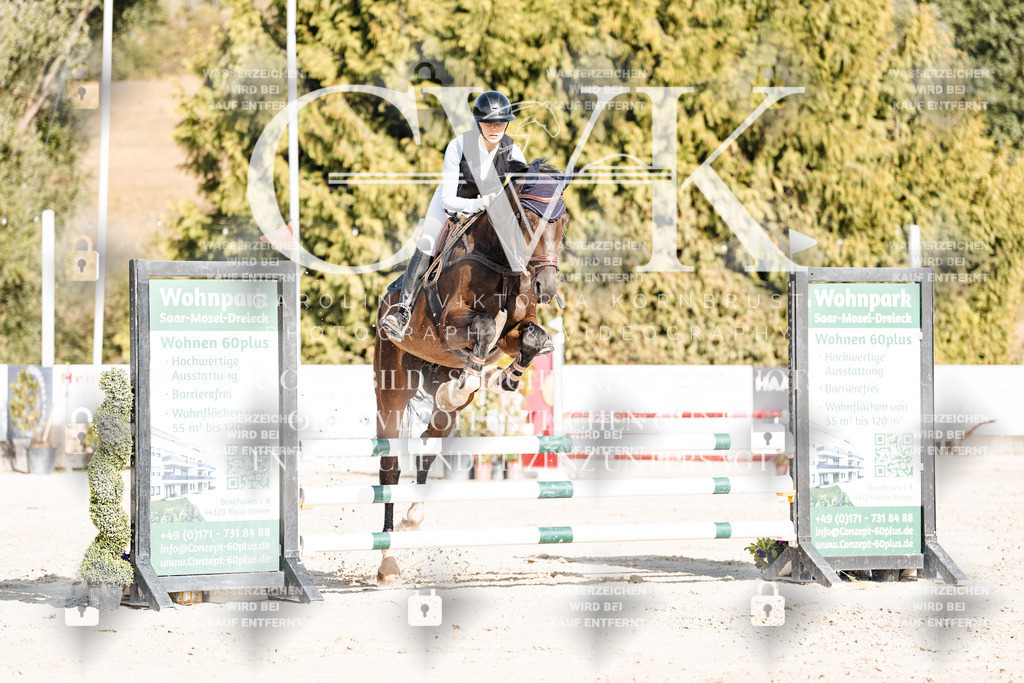 CK909250 | Turnierfotografie Pferdefotografie Trier Rheinland-Pfalz Pferdesport Reitsport Tierfotografie Sportfotografie Pferdevideo Pferdevideografie Equestrianvideography equestrianphotography  - Realisiert mit Pictrs.com
