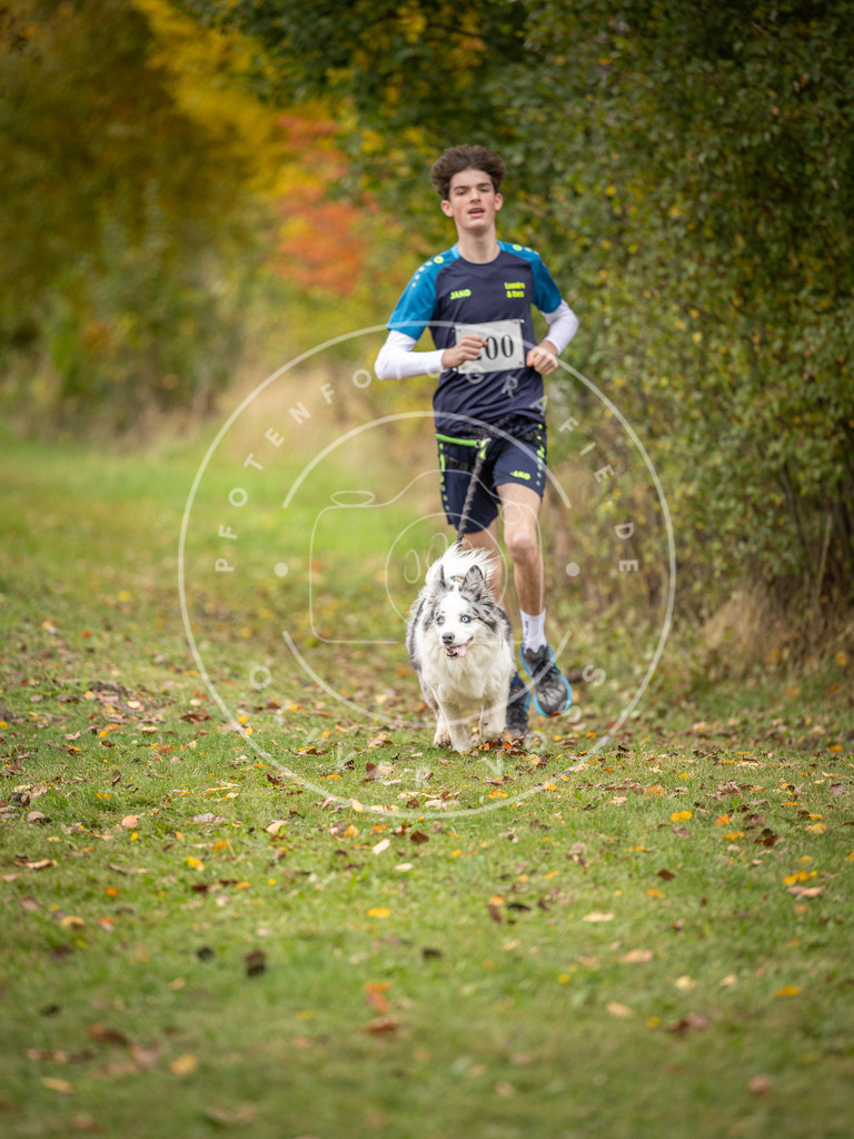 Pfotenfotografie_DV3A3788 | Hundefotografie, Tierfotograf, Pfotenfotografie, Fotoshooting Hund, Hunde Portrait, Hundesport, Hundeportraits, Heideshooting, Hunde, Sportfotograf, Hundefotograf, Turnierhundsport, THS,  - Realisiert mit Pictrs.com
