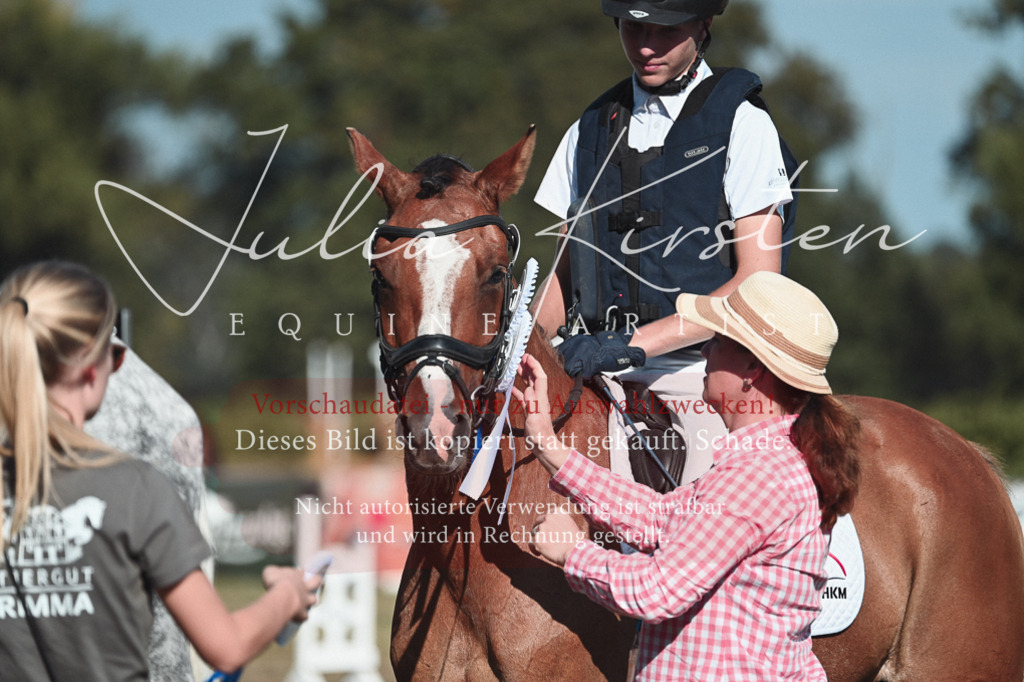 DSC_8877 | Pferde- und Turnierfotografie in Westsachsen. Pferdeportraits, Auftragszeichnungen und intuitive Kunst.