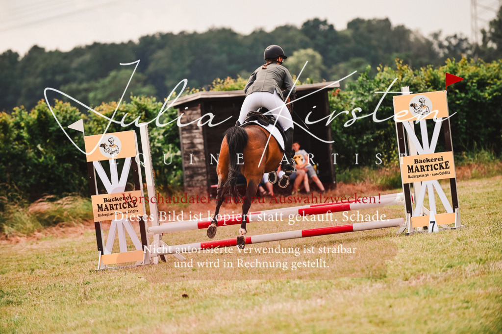 DSC_6933 | Pferde- und Turnierfotografie in Westsachsen. Pferdeportraits, Auftragszeichnungen und intuitive Kunst.