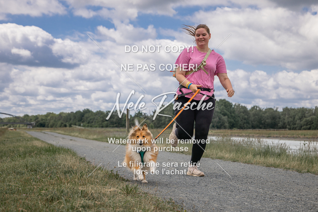 nelerasche_BuHu2026_SaCC1100-1200_115 | nelerasche