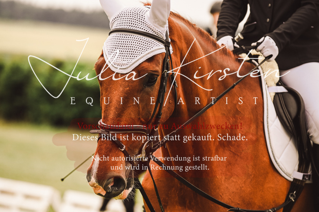 DSC_5049 | Pferde- und Turnierfotografie in Westsachsen. Pferdeportraits, Auftragszeichnungen und intuitive Kunst.