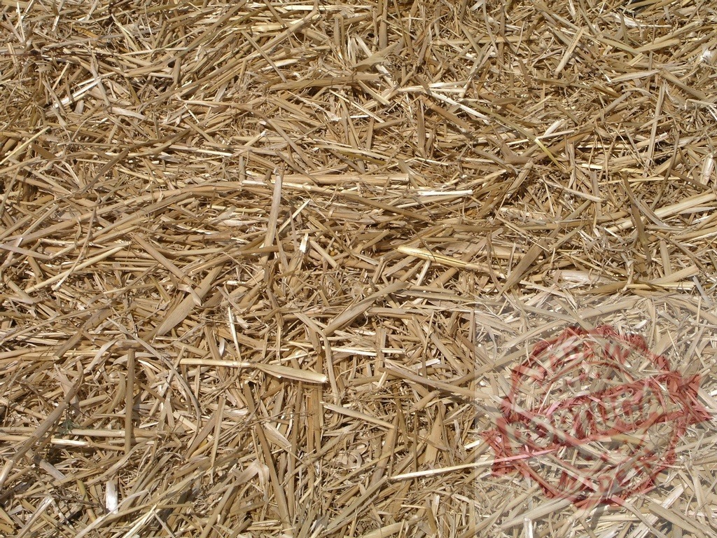 Dry golden straw texture creating natural background pattern | Dry straw texture providing a natural background full of agricultural elements - Realized with Pictrs.com