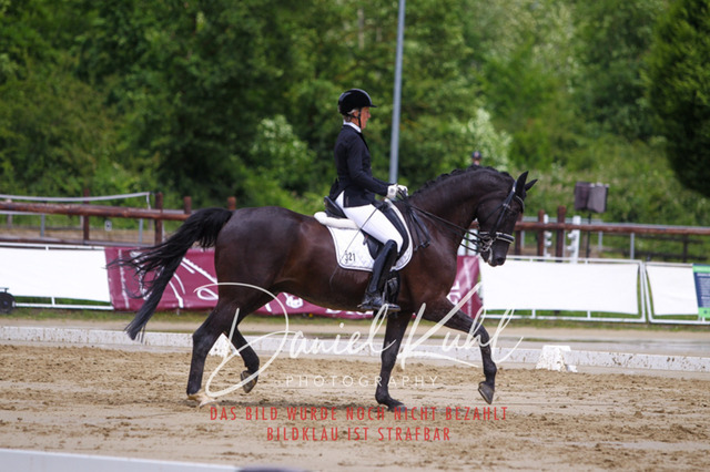 DKP40683 | Turniersportfotografie; Pferdefotografie; Dressurfotografie