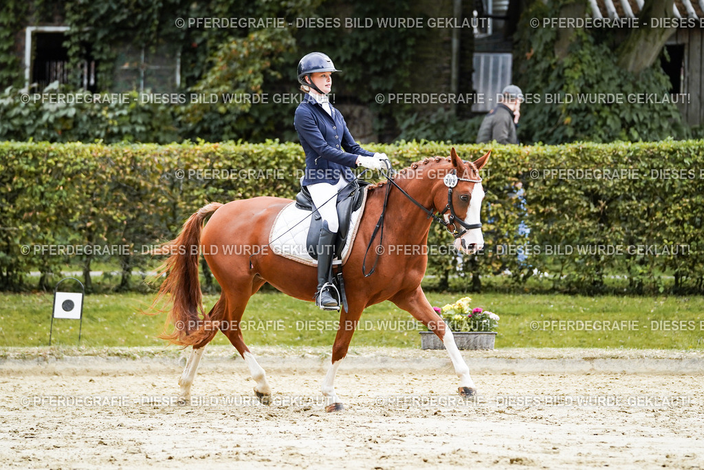 DSC07517 | Pferdegrafie