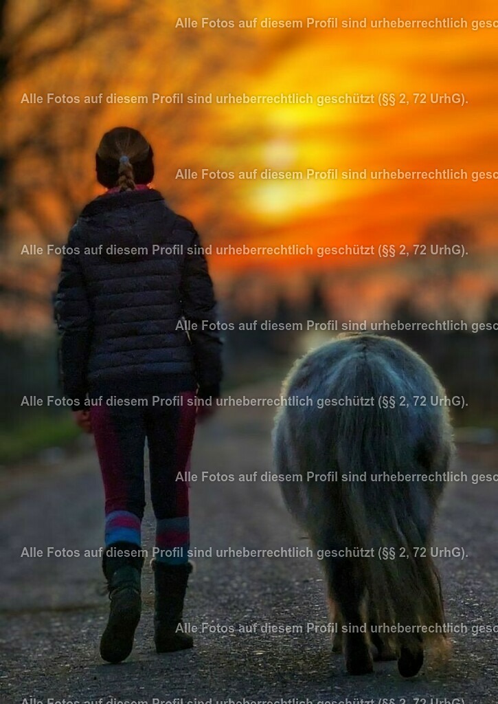 2786b921d6d03a02c583abaa08fa2e4f | krollfotografie - Realisiert mit Pictrs.com