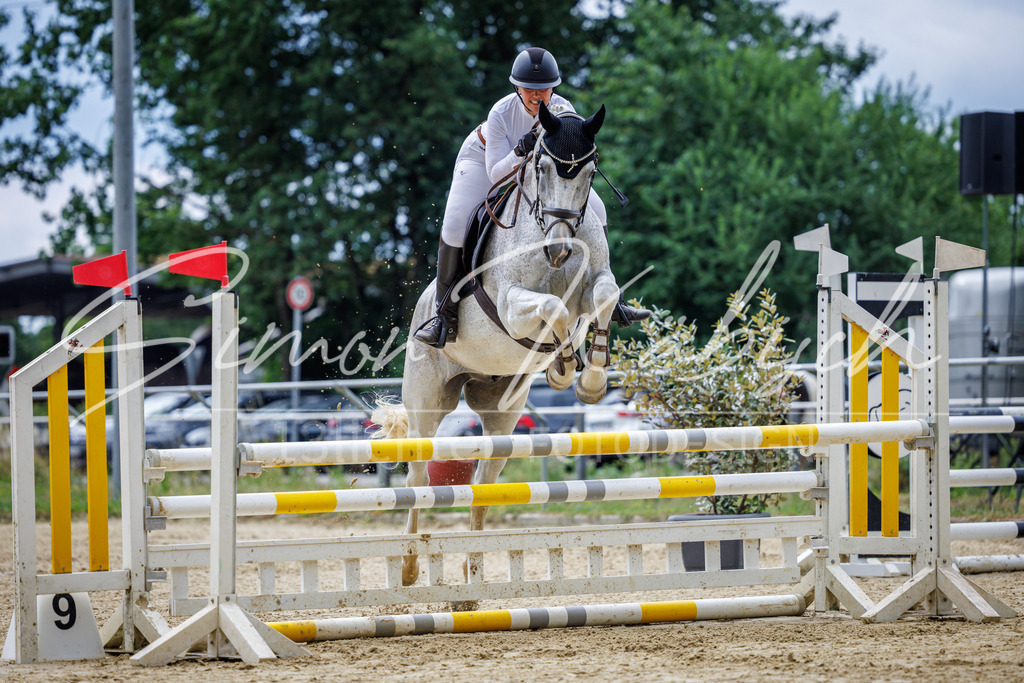 20260705-_3LI4948 | Tierfotografie Pferde, Hunde, Katzen, Haustiere.
Turnierfotografie Reitturniere, Reiten, Springreiten, Dressur in Hanau, dem Main-Kinzig-Kreis und dem Rhein-Main- Gebiet um Frankfurt