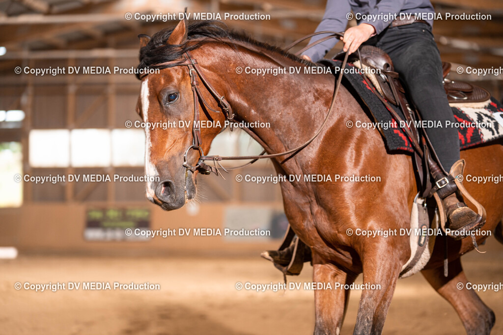 Losheim Tag 1-762 | dv-media-shop - Realisiert mit Pictrs.com