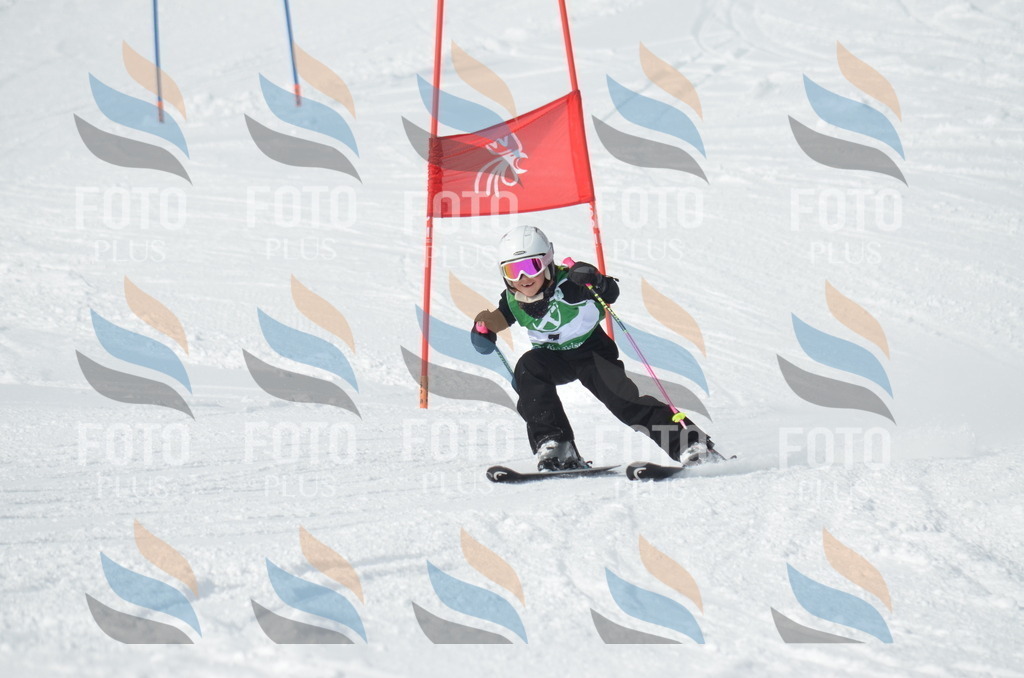 D8491 | holidayphoto