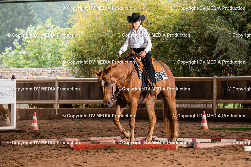 Erbach Tag 3-324 | dv-media-shop - Realisiert mit Pictrs.com