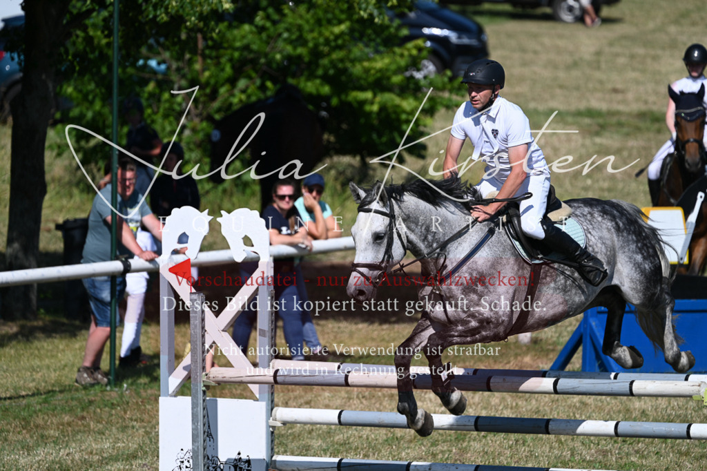 DSC_1877 | Pferde- und Turnierfotografie in Westsachsen. Pferdeportraits, Auftragszeichnungen und intuitive Kunst.