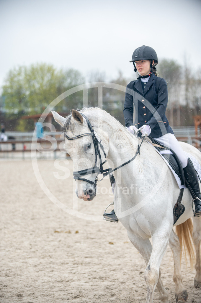 DSC_7295 | sattelsport - Realisiert mit Pictrs.com