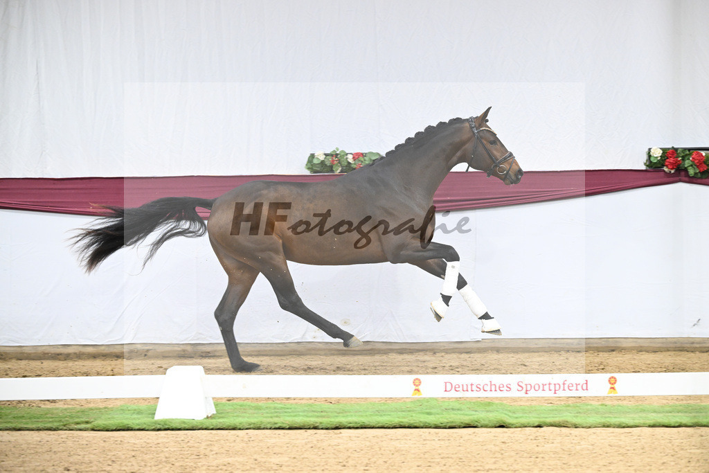 Kat-Nr. 123 Elastic x Belissimo M_Limbecker GnbH u Co. KG_47254087 | hf-fotografie - Realisiert mit Pictrs.com