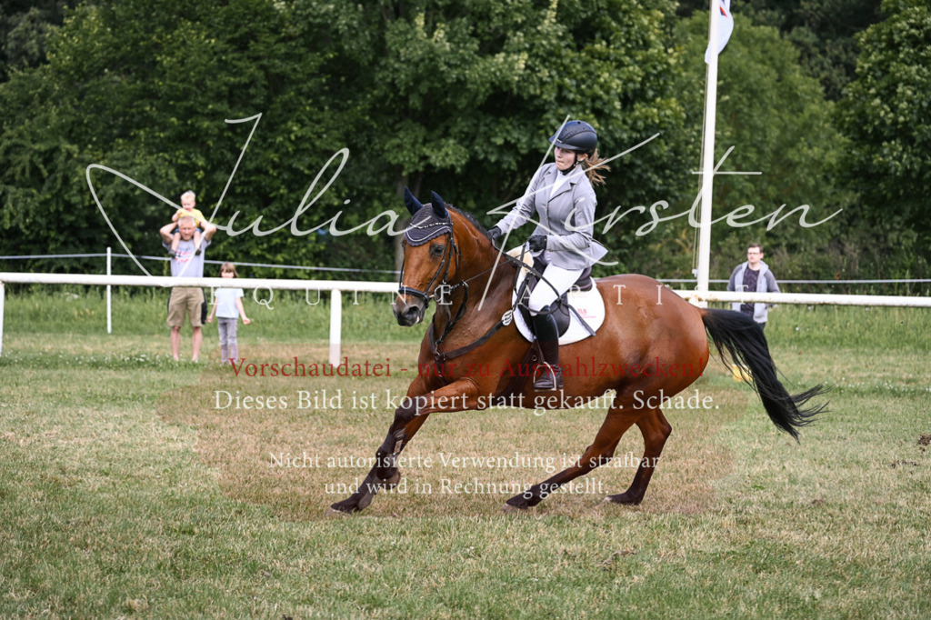 DSC_0586 | Pferde- und Turnierfotografie in Westsachsen. Pferdeportraits, Auftragszeichnungen und intuitive Kunst.