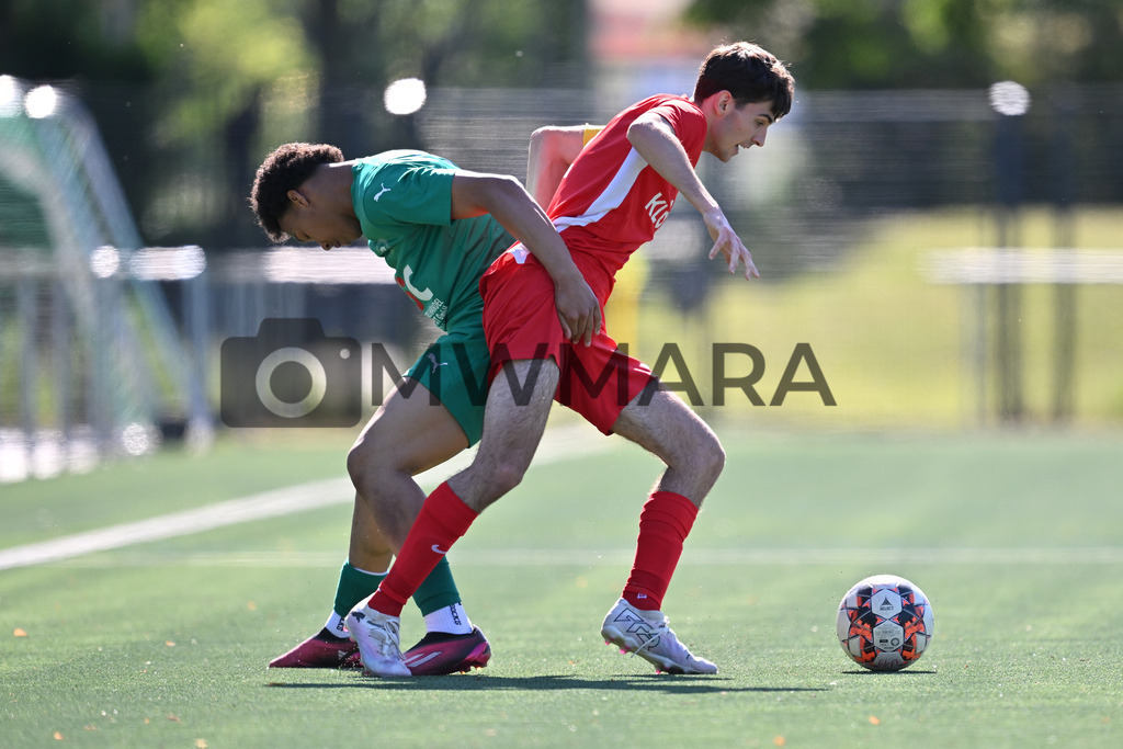 250511_EP__4508 | MWMARA - Realisiert mit Pictrs.com