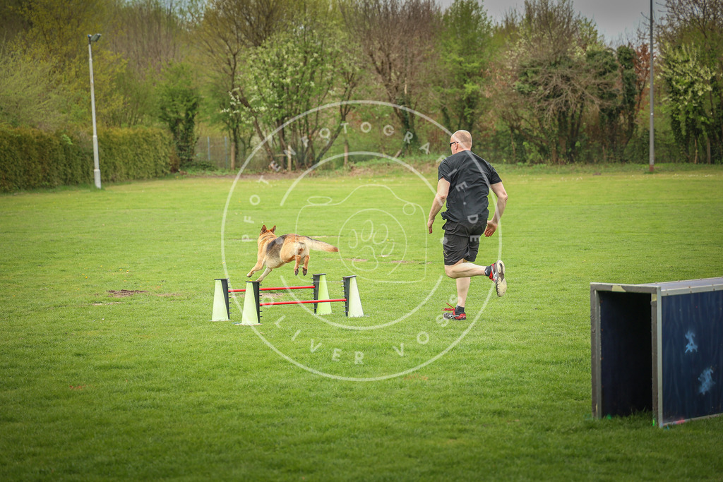Pfotenfotografie_0L8A9767 | Hundefotografie, Tierfotograf, Pfotenfotografie, Fotoshooting Hund, Hunde Portrait, Hundesport, Hundeportraits, Heideshooting, Hunde, Sportfotograf, Hundefotograf, Turnierhundsport, THS,  - Realisiert mit Pictrs.com