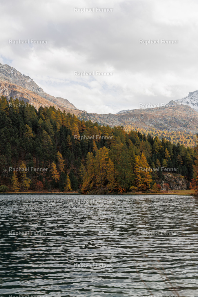 IMG_9589 | Erlebe eindrucksvolle Landschaftsfotografie aus dem Engadin und darüber hinaus. Raphael Fenner bietet zudem professionelle Fotoaufträge für Hochzeiten, Porträts und Unternehmen. Jetzt entdecken und inspirieren lassen!