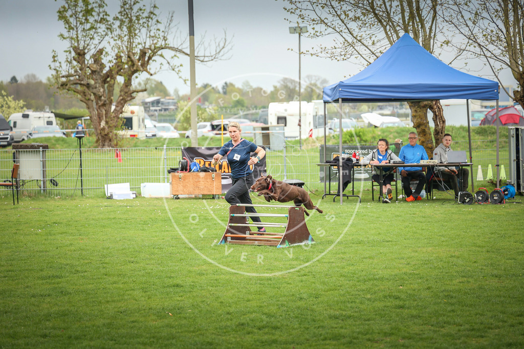 Pfotenfotografie_0L8A9667 | Hundefotografie, Tierfotograf, Pfotenfotografie, Fotoshooting Hund, Hunde Portrait, Hundesport, Hundeportraits, Heideshooting, Hunde, Sportfotograf, Hundefotograf, Turnierhundsport, THS,  - Realisiert mit Pictrs.com