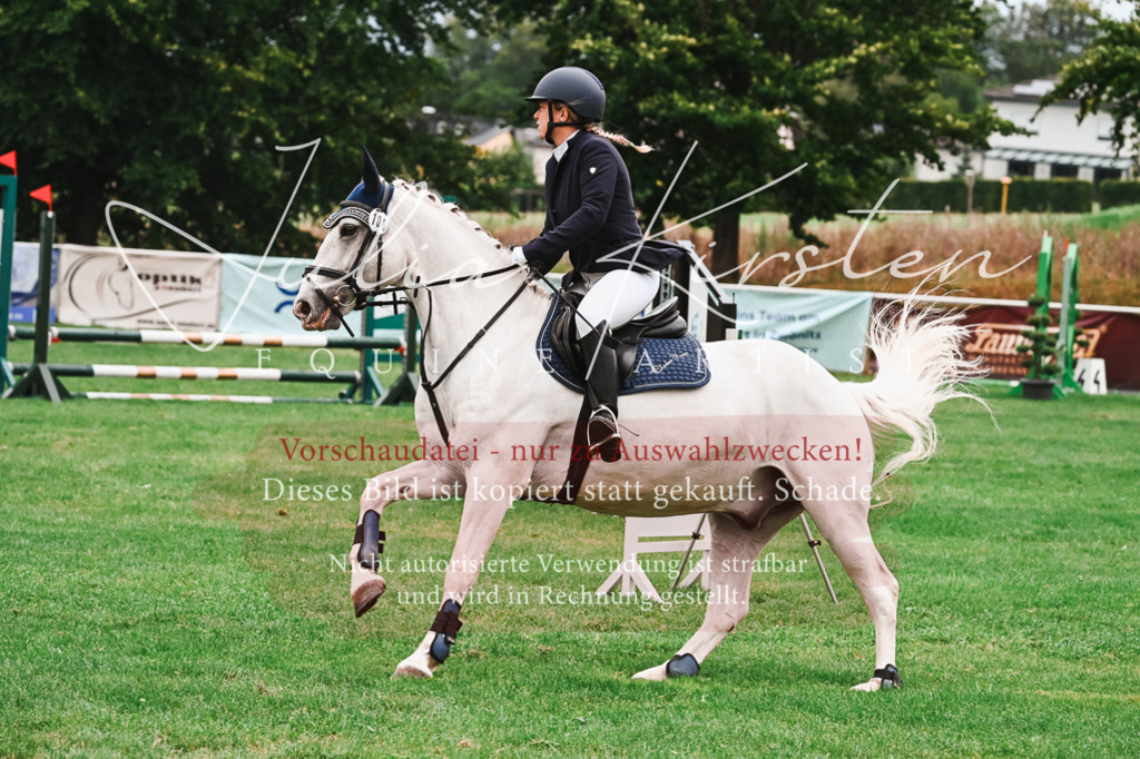 DSC_5941 | Pferde- und Turnierfotografie in Westsachsen. Pferdeportraits, Auftragszeichnungen und intuitive Kunst.
