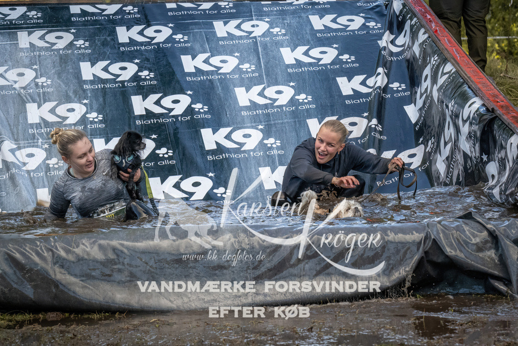 1557_ZZ91499 | kk-dogfotos