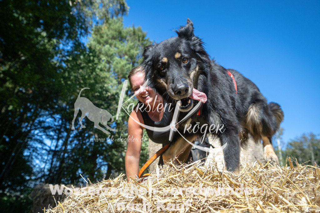 1404_ZZ92194-3 | kk-dogfotos