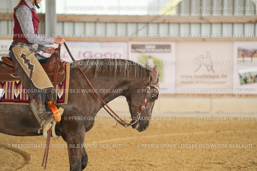 DSC05598 | Pferdegrafie