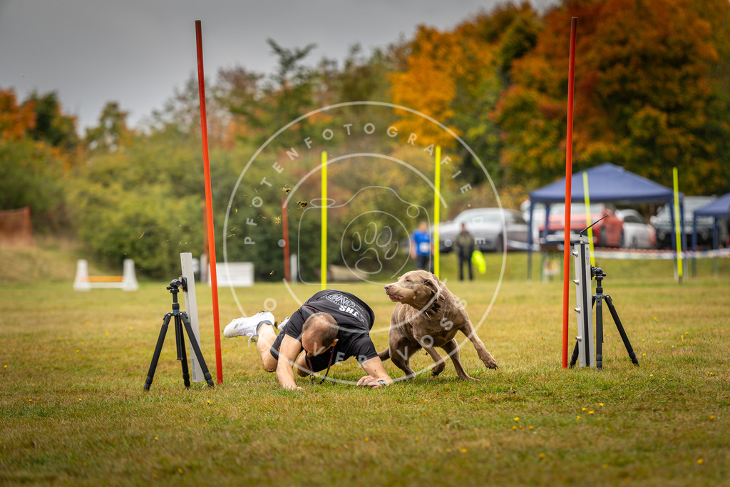 Pfotenfotografie_DV3A2326 | Hundefotografie, Tierfotograf, Pfotenfotografie, Fotoshooting Hund, Hunde Portrait, Hundesport, Hundeportraits, Heideshooting, Hunde, Sportfotograf, Hundefotograf, Turnierhundsport, THS,  - Realisiert mit Pictrs.com